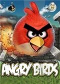 《愤怒的小鸟季节版》免DVD补丁 V2.4.1THETA版