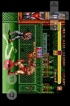 Tiger Genesis MD游戏模拟器(3)