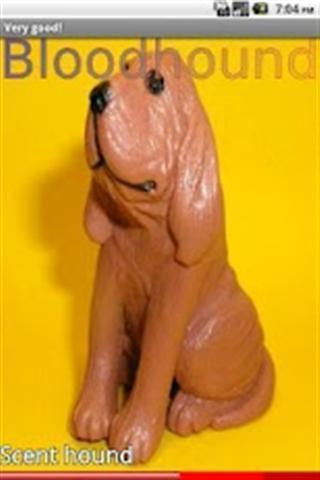 小狗狗的品种(3)