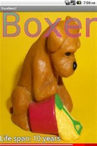 小狗狗的品种(2)