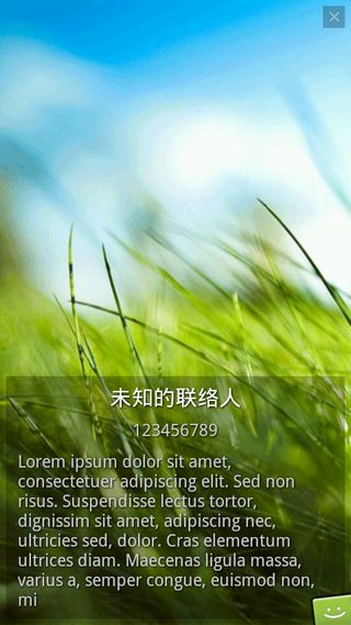 全屏来电大头贴汉化版FullScreenCallerIDv10.1.1(4)