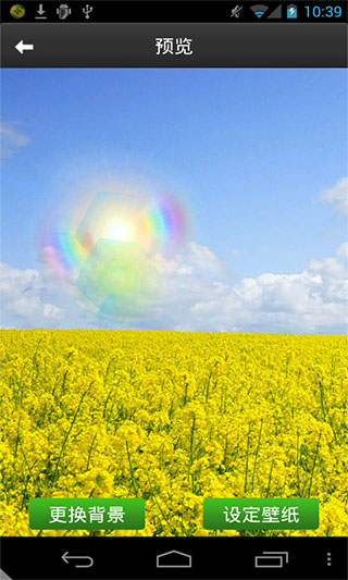金黄遍野动态壁纸v1.0(1)