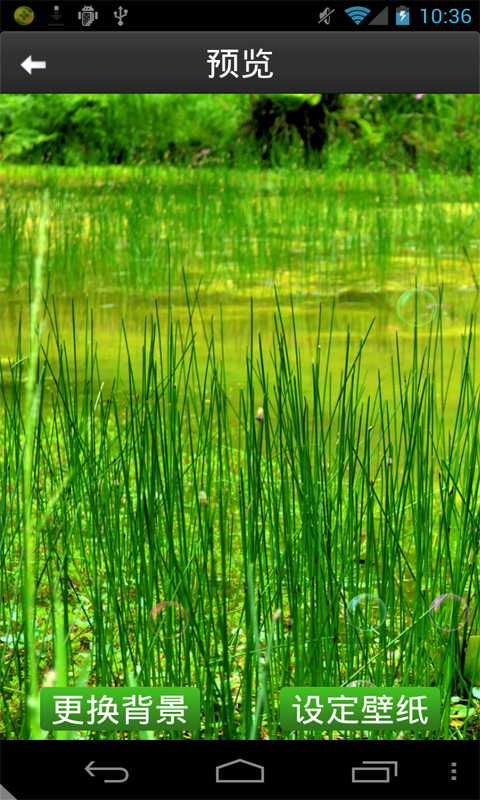 芦苇动态壁纸v1.0Android版(3)