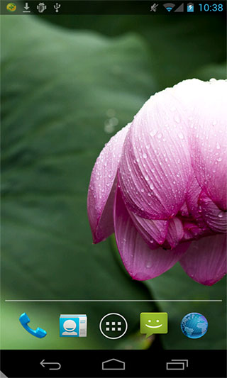 清涟之莲动态壁纸v1.0(4)