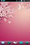 樱花动态壁纸SakuraLiveWallpaperv1.2.8(1)
