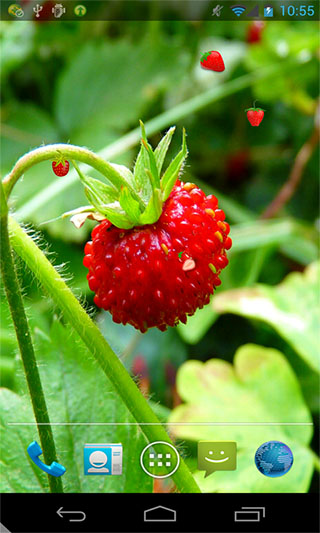 美味草莓动态壁纸v1.0(5)
