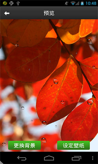 秋雨动态壁纸v1.0(1)