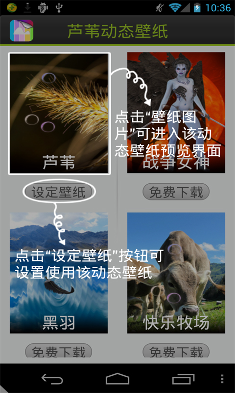 芦苇动态壁纸v1.0Android版(2)