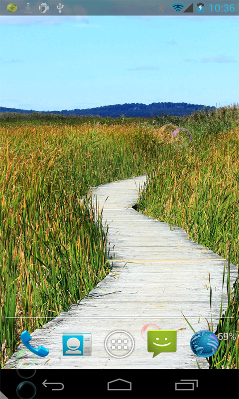 芦苇动态壁纸v1.0Android版(4)