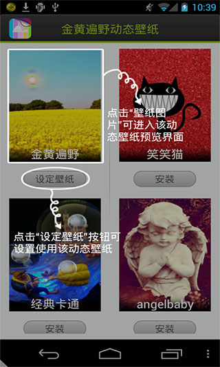 金黄遍野动态壁纸v1.0(5)