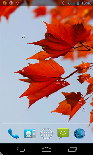 秋雨动态壁纸v1.0(5)