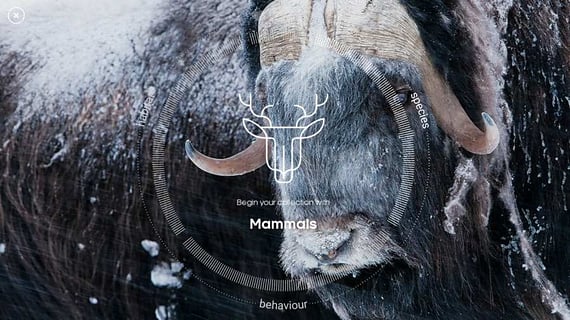 生命的故事v1.0.2(3)