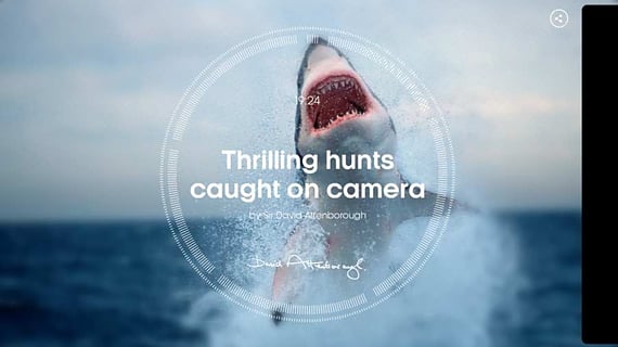 生命的故事v1.0.2(2)