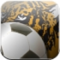 Hull City F C Fan Club Live