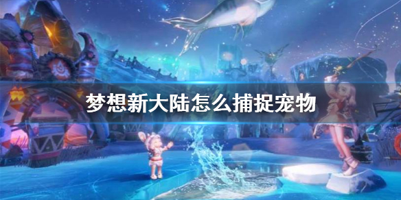 《胡想新年夜陆》怎样捕获宠物宠物捕获办法
