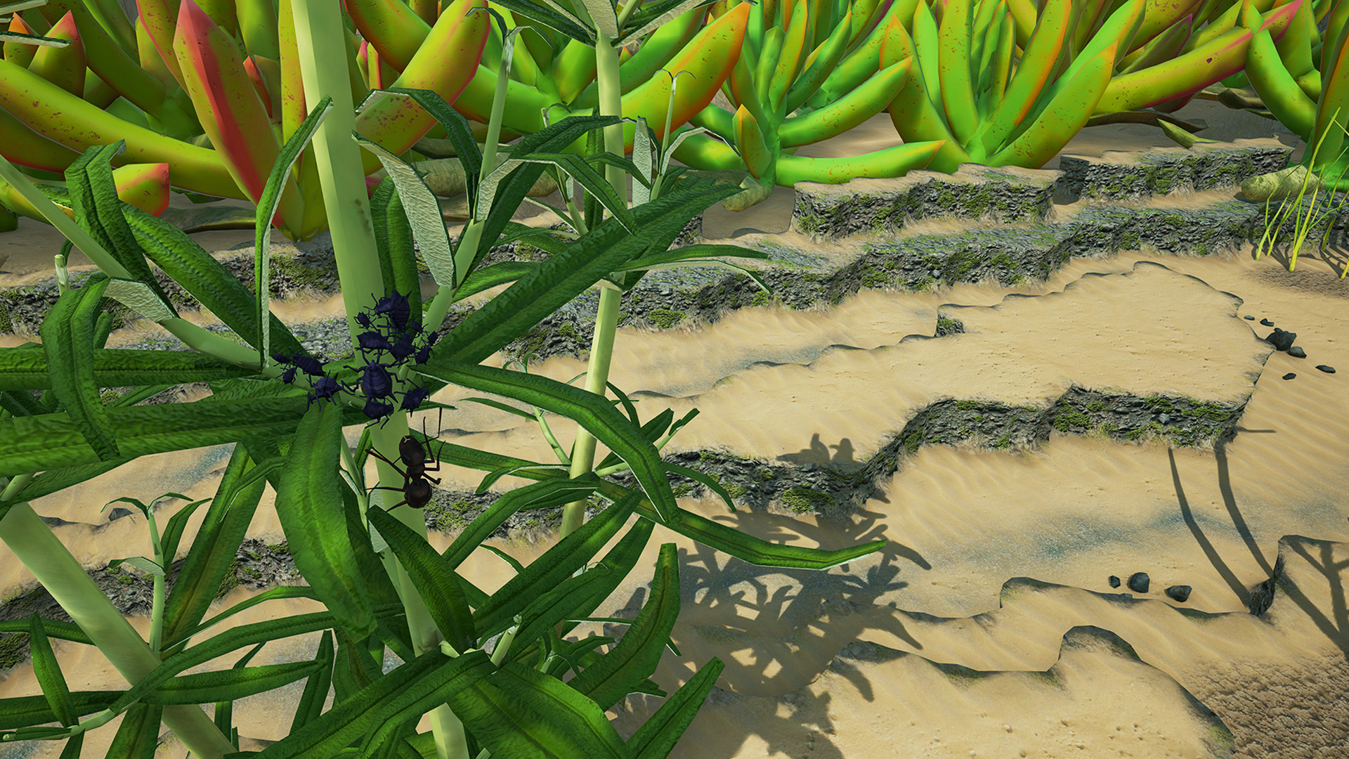 地下蚁国 免绿色中文版(3)