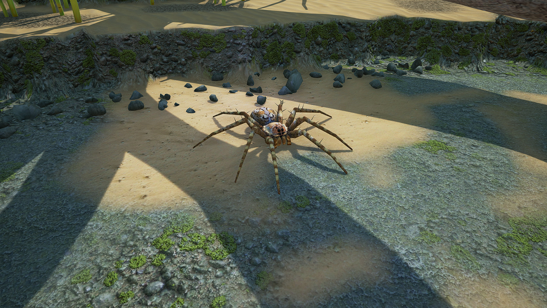 地下蚁国 免绿色中文版(1)