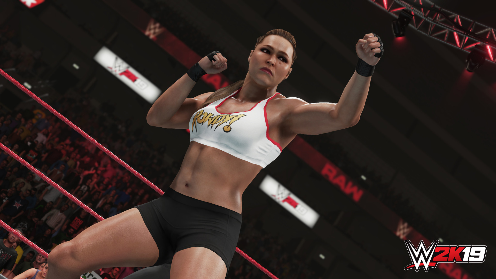 WWE 2K19 免绿色版