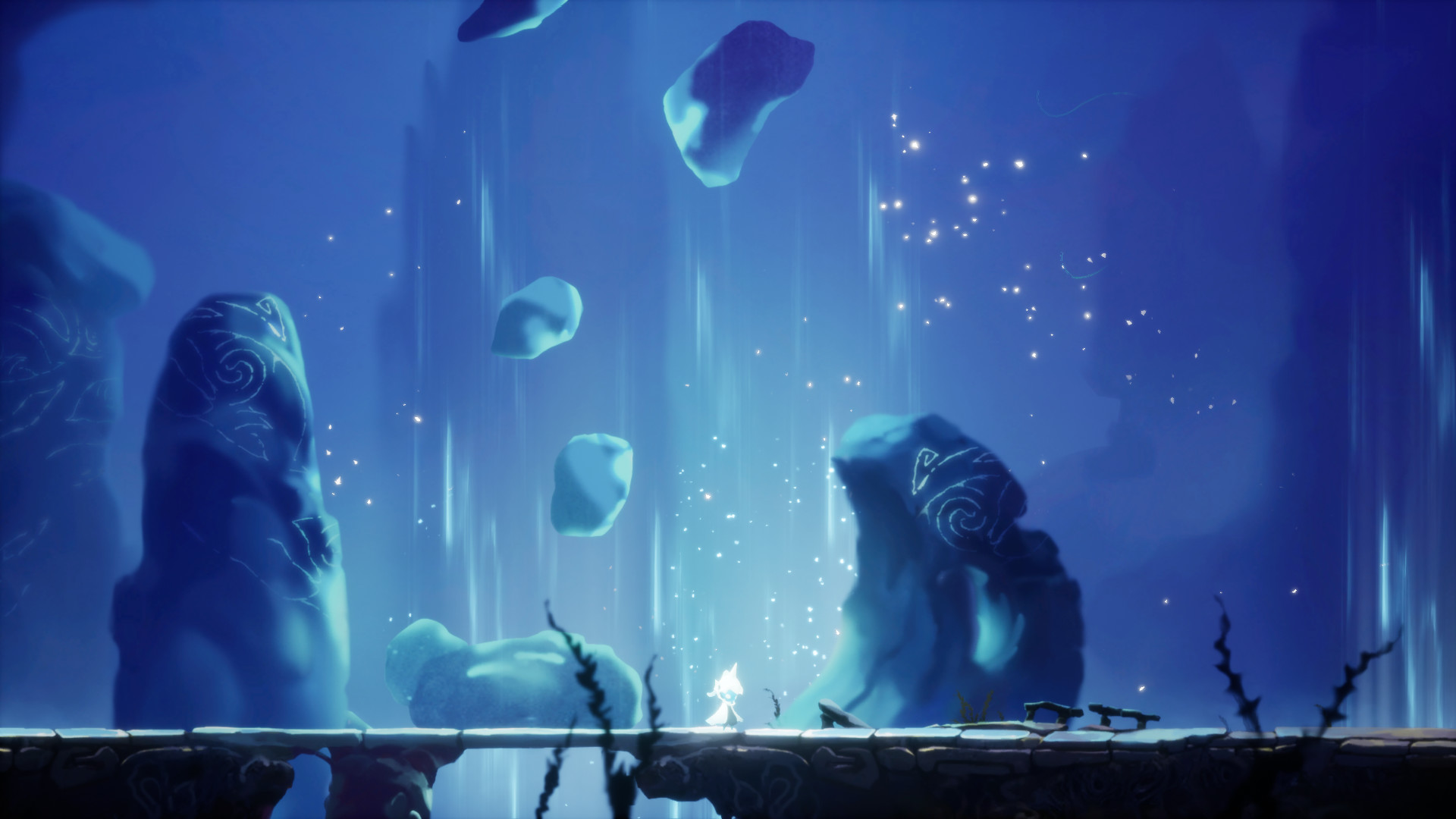 逐光之旅 中文版(1)