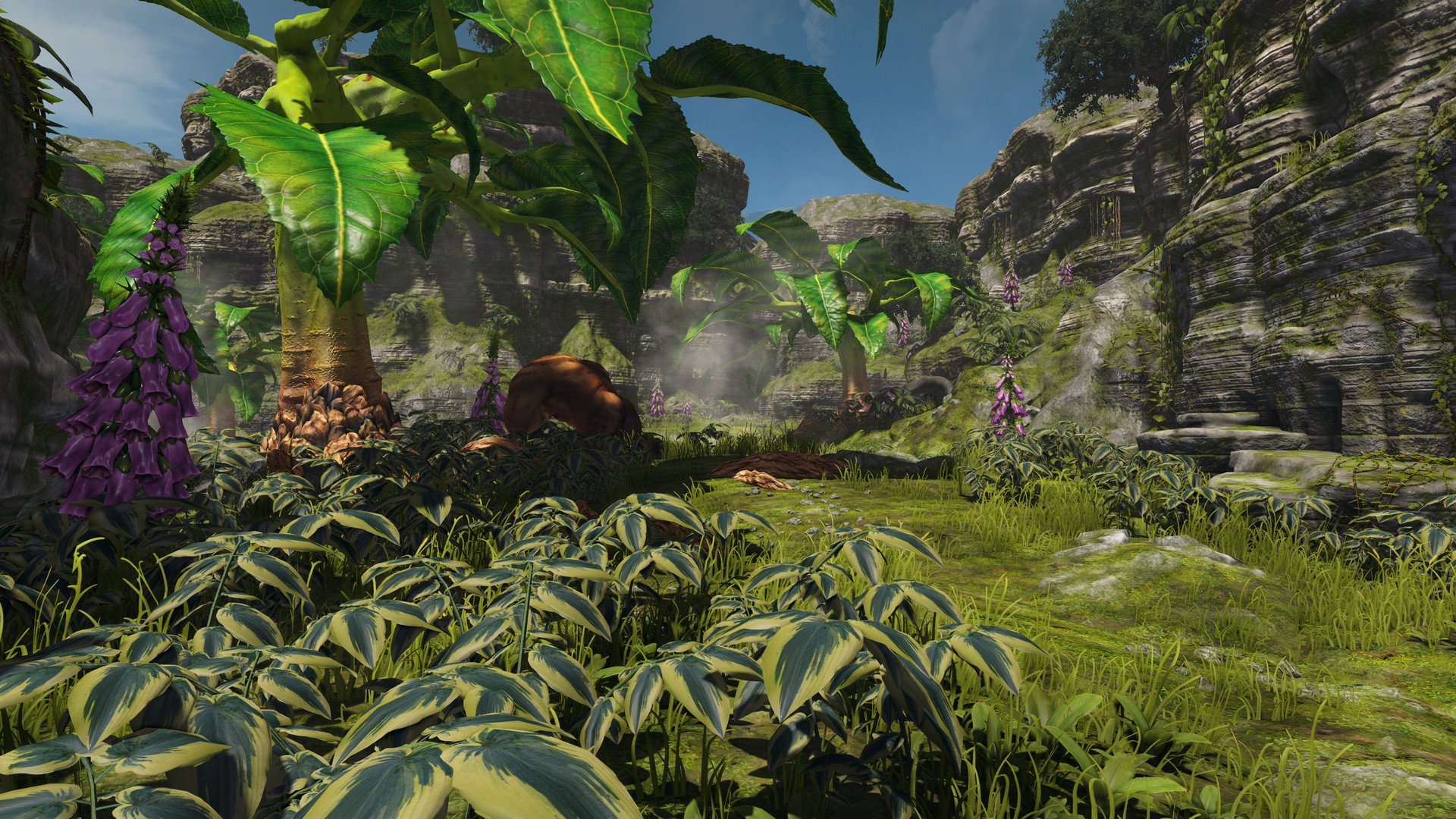 克莱尔月光 免绿色版(3)