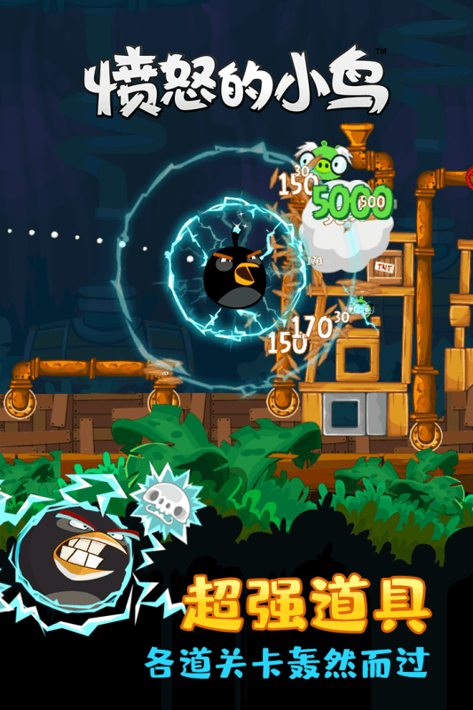 愤怒的小鸟（中文版）(5)