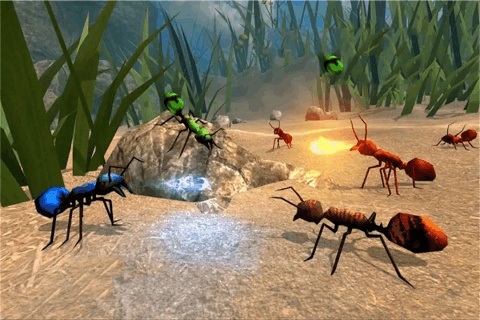 全员加速中之疯狂加速(3)