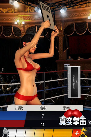真实拳击(4)