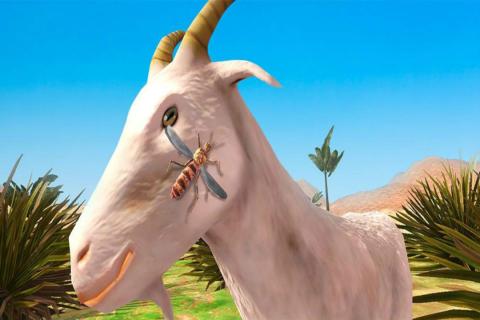 蚊子模拟器3D(4)