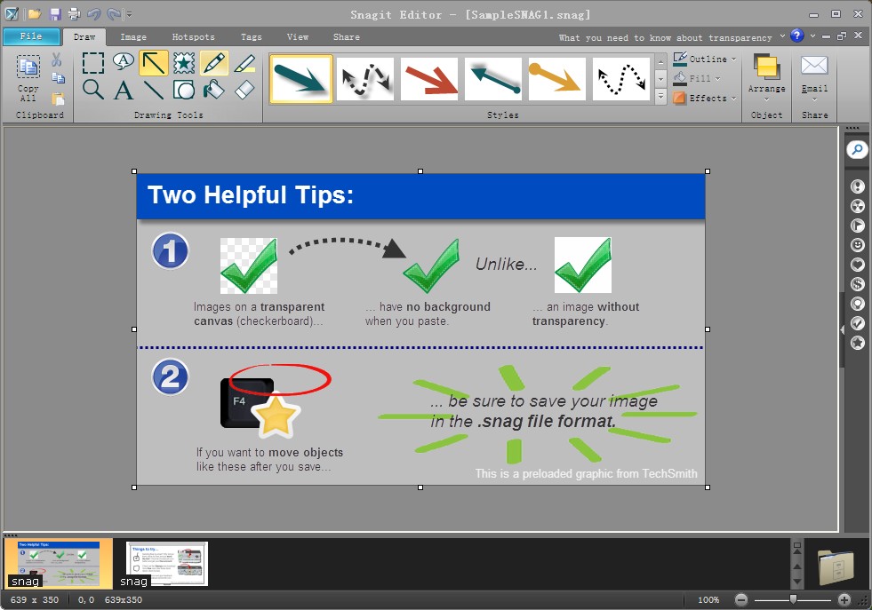 Snagit2017(1)