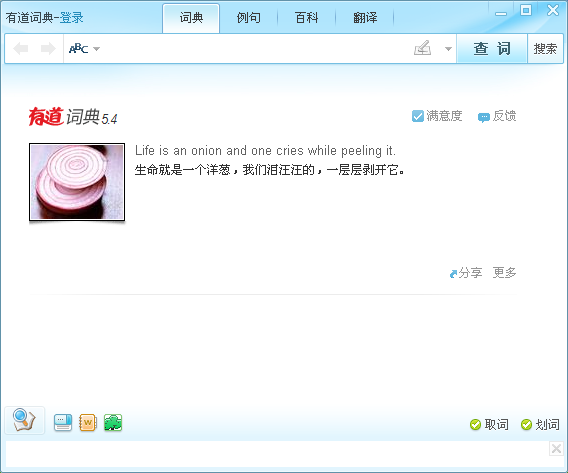 有道词典纯净版(1)