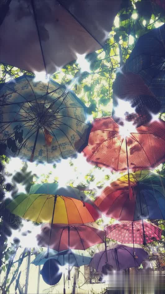 bulingbuling相机(2)