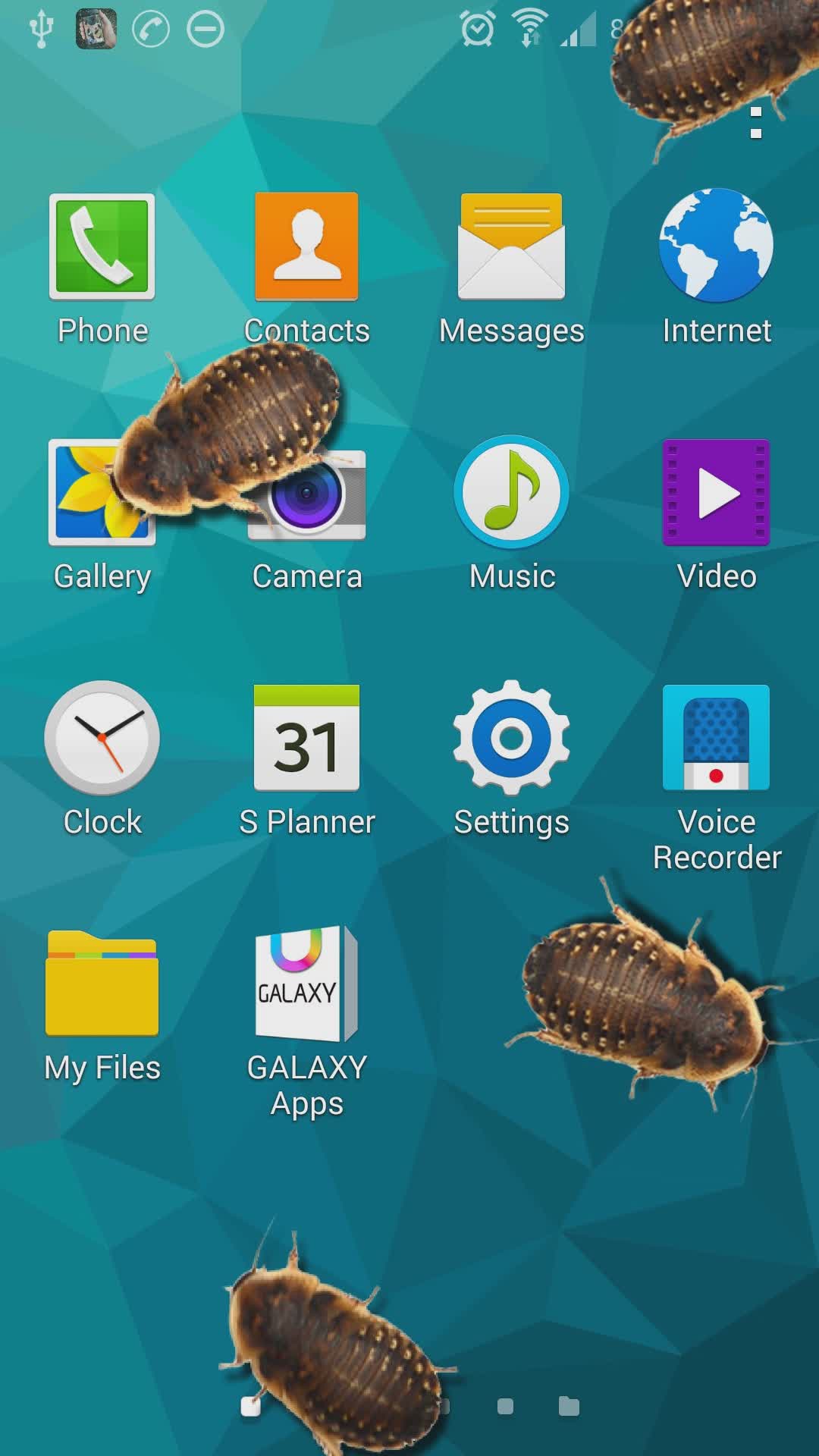 虫子电话的笑话app(1)