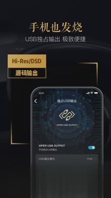 VIPER HiFi app(1)