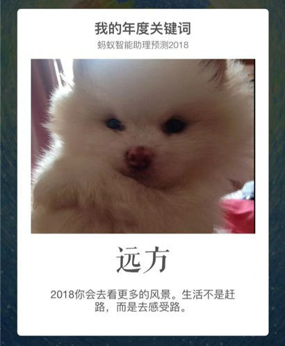 我的年度关键词生成器(2)