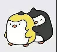 情侣头像表情包(1)