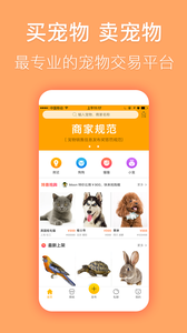 宠物市场(2)