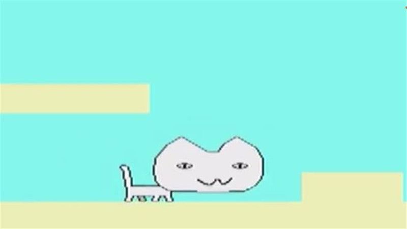 我的猫咪有残疾(4)