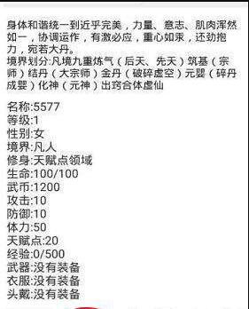 武道天空之城(1)