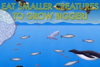 美味海洋正式版(3)