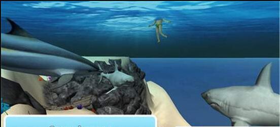 海洋海豚模拟器