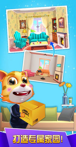 探探猫大作战(3)