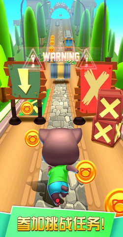 探探猫大作战(1)