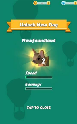 奔跑的汪星人(1)