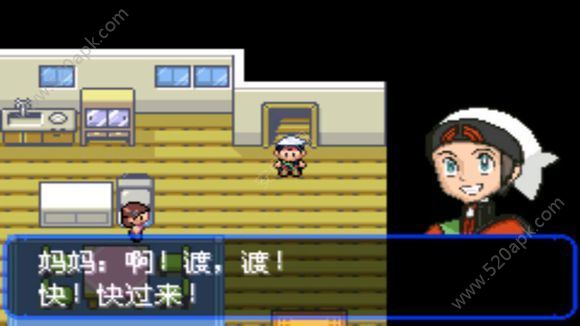 口袋妖怪究极绿宝石(2)