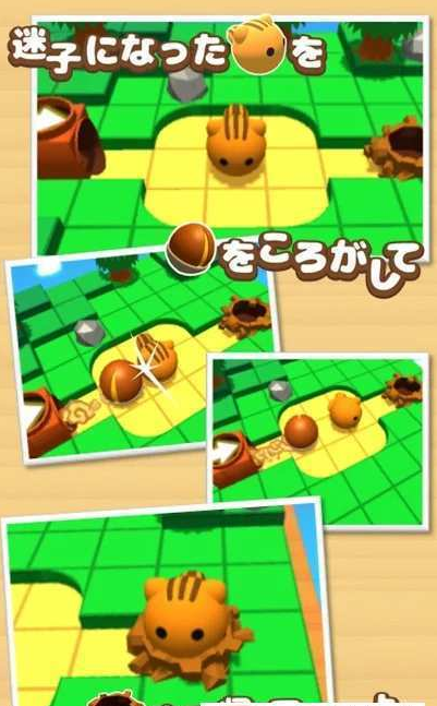 滚动的小松鼠(3)