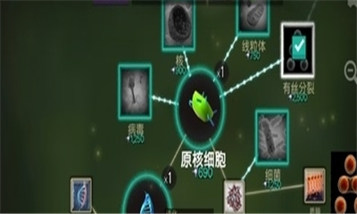 细胞奇点进化(4)