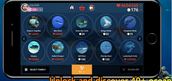 OceanReefLife(3)