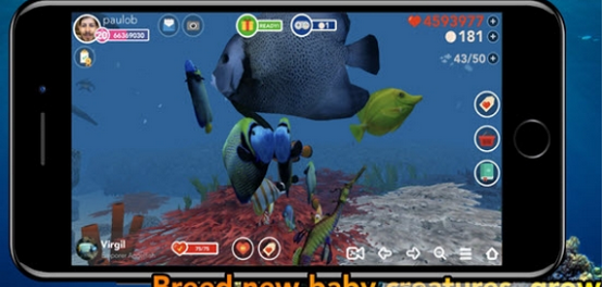 OceanReefLife(2)