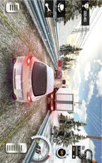 交通巡回赛车(3)