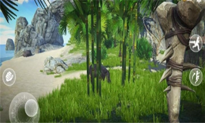 最后的海盗岛屿(1)